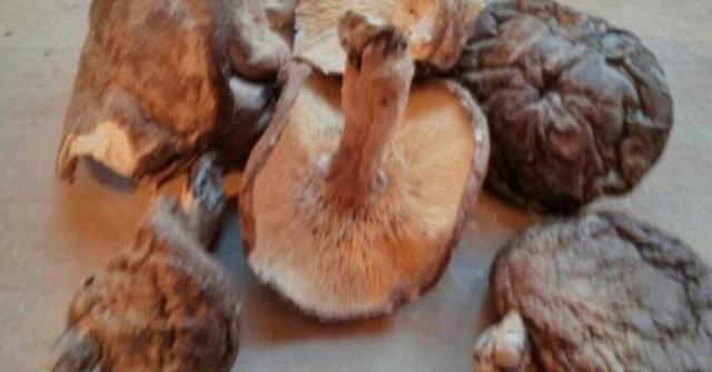 מרק פטריות וכרובית