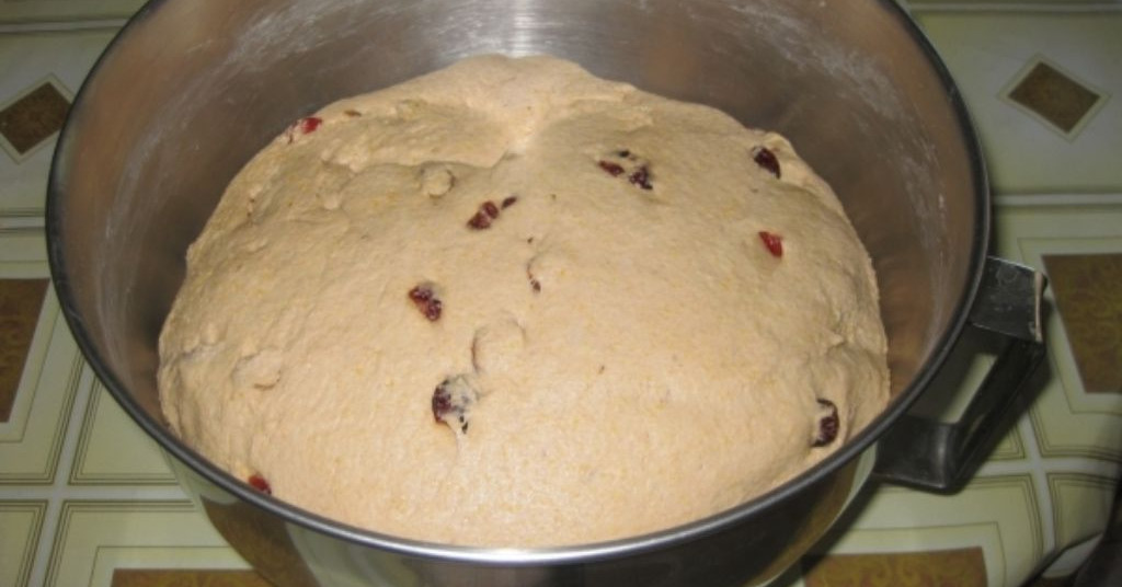 לחם חמוציות ופקאנים