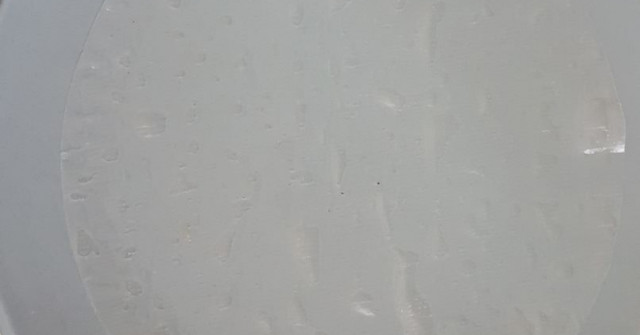 דפי אורז במילוי ירקות