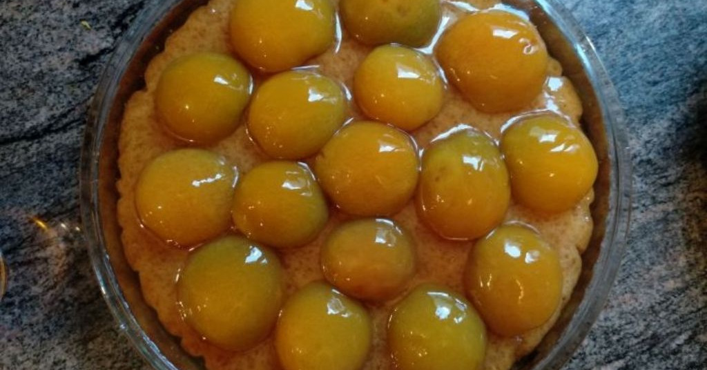 עוגת יוגורט עם משמשים וג'לי