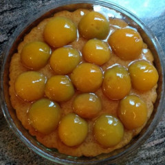 עוגת יוגורט עם משמשים וג'לי