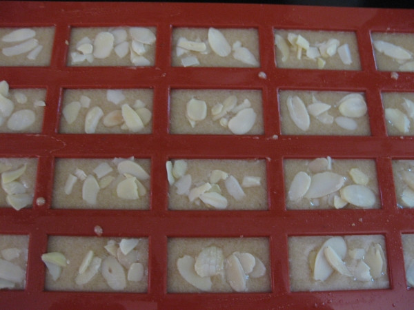 עוגיות פיננסייר