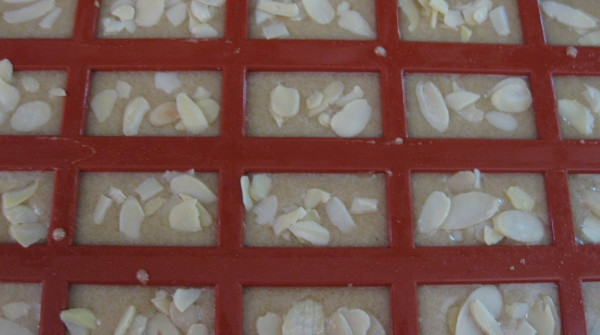 עוגיות פיננסייר