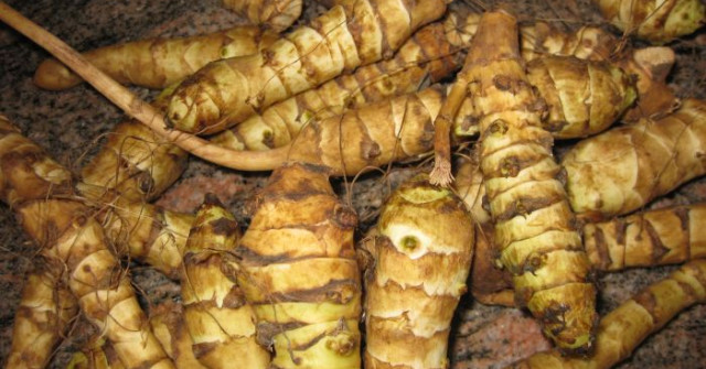 תפוח אדמה ירושלמי (בטטה קסבייה)