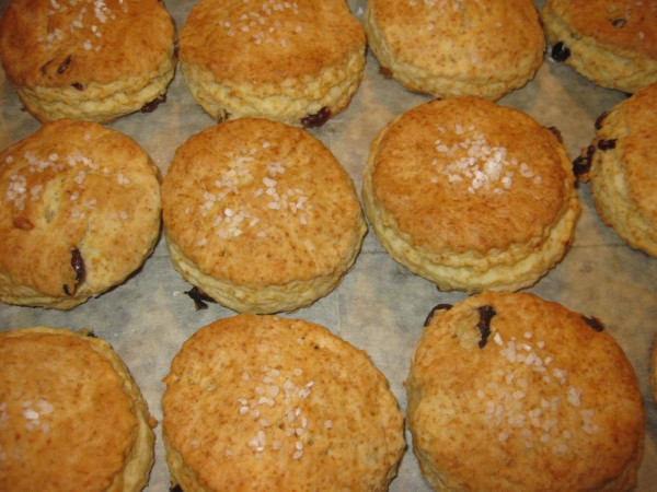 סקונס (לחמניות מהמטבח הבריטי)