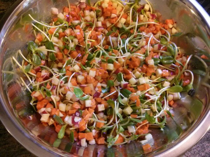 סלט גזר וצנוניות