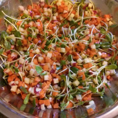 סלט גזר וצנוניות