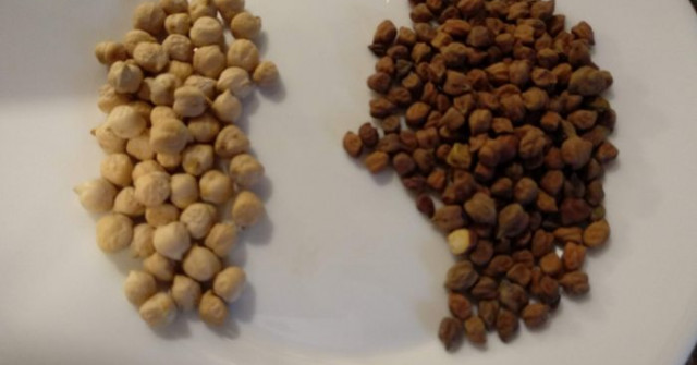 תבשיל חומוס ודלורית מהמטבח ההודי