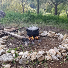 פוייקה (ניתן להכין בשרי/צמחוני/טבעוני על פי בחירה)
