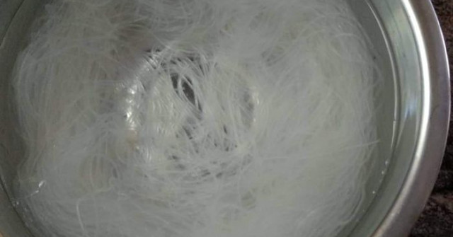 סלט אטריות שעועית, אצות, ומלפפונים