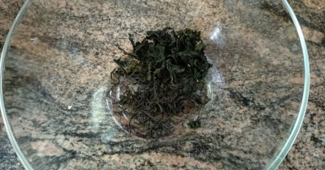 סלט אטריות שעועית, אצות, ומלפפונים