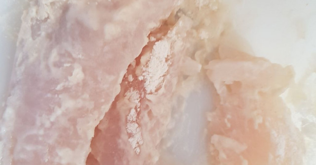 פילה אמנון מטוגן/ דג קריספי/ שניצל דג