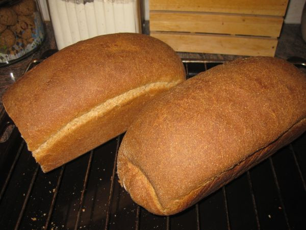 לחם מקמח כוסמין