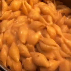 פסטת דניאל עמית