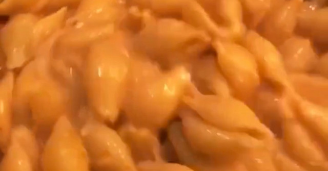 פסטת דניאל עמית