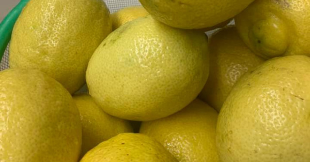 לימונים כבושים (קרדיט לימור מגד-לגזיאל)