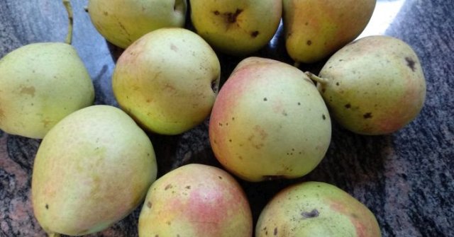 צ'אטני אגסים - מטבל מהמטבח ההודי