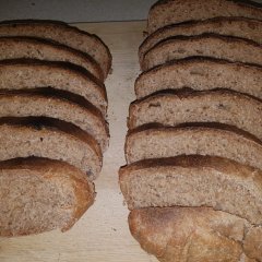 לחם/לחמניות כוסמין