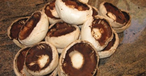 פטריות ממולאות בעדשים