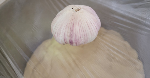 פרעצל- בייגלה