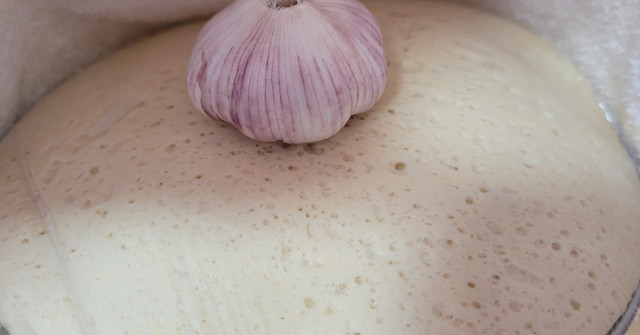 פרעצל- בייגלה